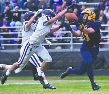 Shaken up, not stirred: Negaunee, Forest Park tumble out of U.P. top 5 after losses